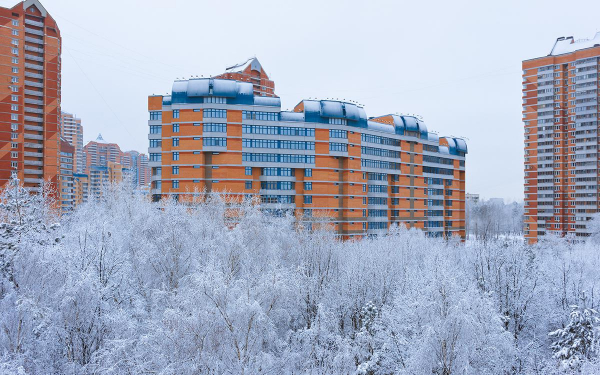 Фото: Tatiana Popova / Shutterstock / FOTODOM