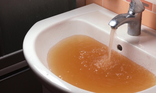 Кто ловит рыбку в «Чистой воде»? Кто ловит рыбку в «Чистой воде»?