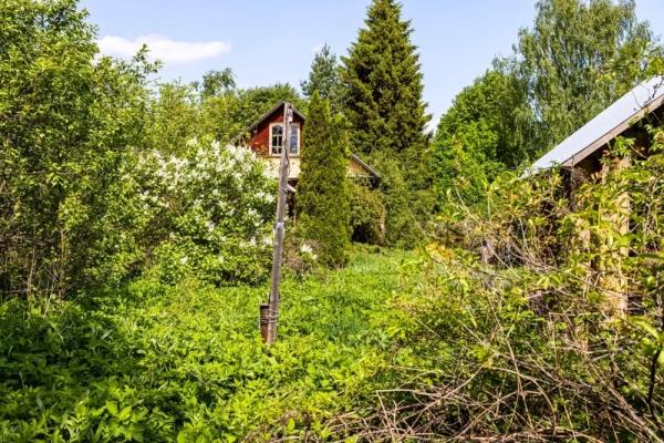 
        Свалки да бурьян. В России утвердили критерии, по которым отберут землю    