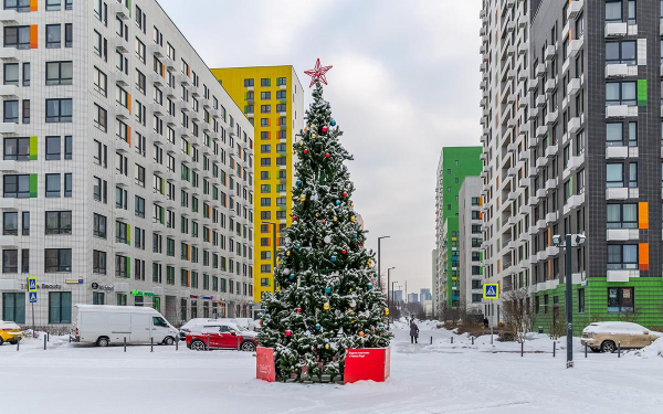 Фото:Kleymenov Valery / Shutterstock / FOTODOM