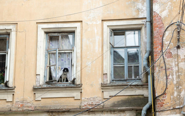 Фото: Omaly Darcia / Shutterstock / FOTODOM