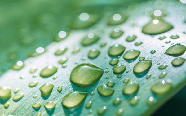 Фото: icemanphotos / Shutterstock / FOTODOM